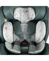 Столче за кола All in All Extra 360 i-size Cosatto, MEADOW