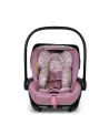 Кошница за кола Cosatto ACORN Recline 0+, Camille