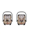 Кошница за кола Cosatto ACORN Recline 0+, Foxford Hall