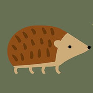 Десен Hoglet – Cosatto